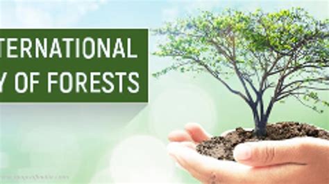 International Day Of Forests 2018 Theme And History
