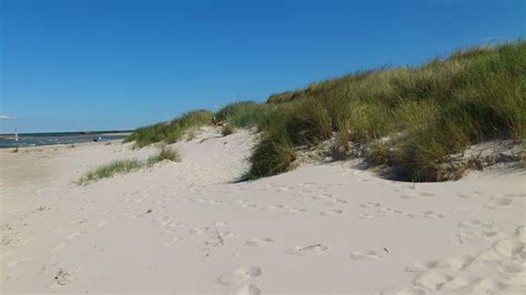We did not find results for: Spuren im Sand - YouTube