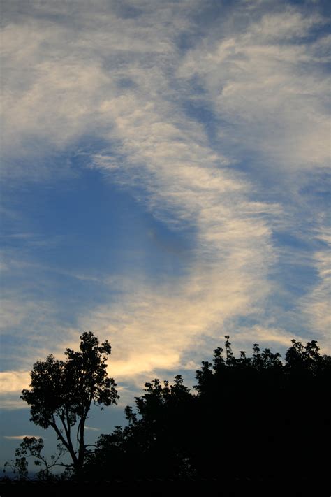 Fotos Gratis árbol Naturaleza Horizonte Ligero Nube Cielo
