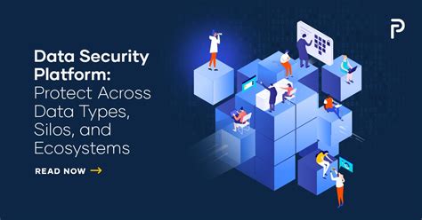 Learn About The Data Security Platform Privacera