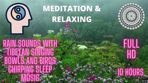 Rain Sounds With Tibetan Singing Bowls And Birds Chirping Sleep Music Meditation And Relaxing