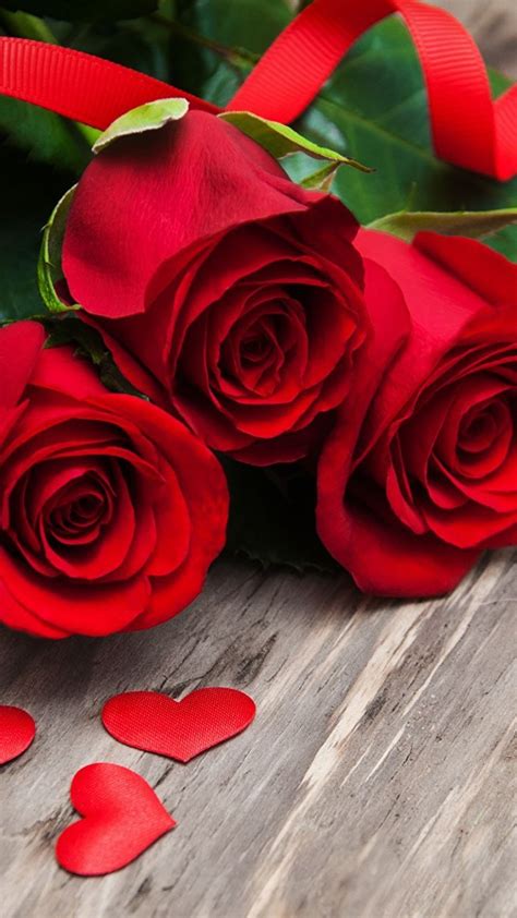 Love Rose Hd Wallpapers On Wallpaperdog In 2022 Beautiful Flowers