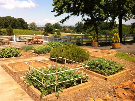 The Kitchen Garden — An Ode To Cooks And Non Cooks Alike A Gardeners