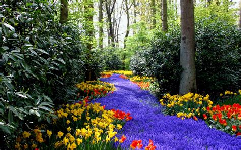 Fotos wallpaper 1080p wallpaper wallpaper downloads wallpaper backgrounds windows wallpaper computer wallpaper iphone wallpaper latest flower wallpaper nature wallpaper cool wallpaper spring wallpaper scenery wallpaper wallpaper desktop pink tulips tulips flowers. Beautiful Spring Scenery Wallpapers - WallpaperSafari