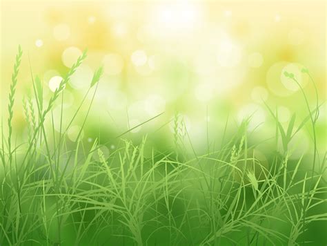 72 Cool Spring Backgrounds On Wallpapersafari