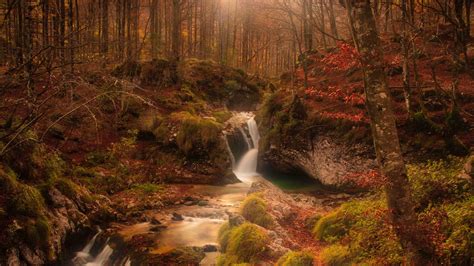 Download Wallpaper 2560x1440 Autumn Waterfall Stream Forest