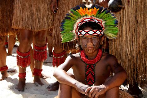 Povos Indígenas Do Brasil Quem São E Origem Prepara Enem