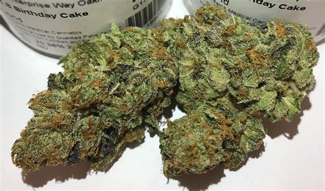 Birthday Cake Strain Everything You Need To Know And More Weed Republic