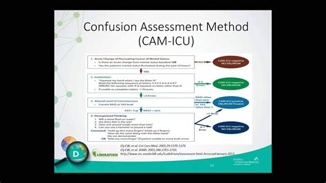 An Integrated Approach To Icu Delirium Assessment Prevention And