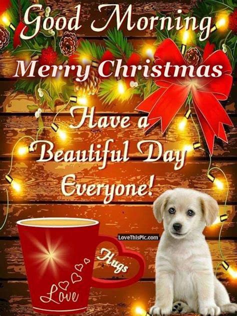 Good Morning Merry Christmas Have A Beautiful Day Everyone Pictures
