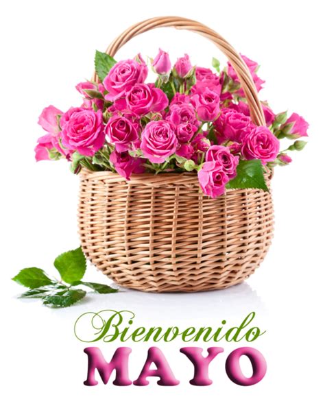 Aquí están todas las respuestas de 4 de mayo, día de __. Imágenes de Bienvenido Mayo Felíz mes para compartir ...