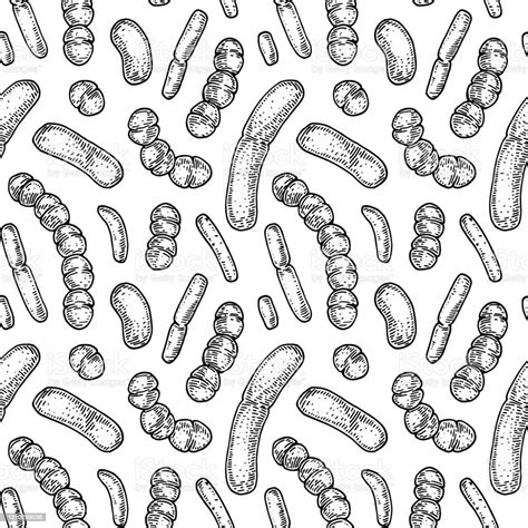 Bacterium Seamless Pattern In Realistic Sketch Stile Hand Drawn Medical Background Vector