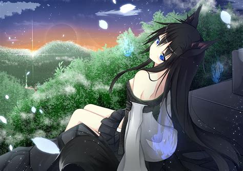 hd wallpaper trees clouds long hair blue eyes sunset anime girls black hair wallpaper flare