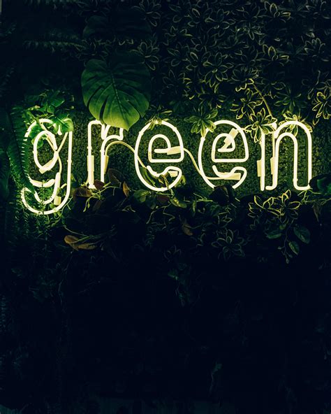 4k Wallpaper Green Neon Sign Plant Illuminated Leaves