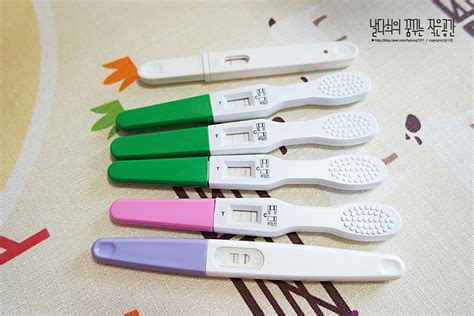 임신테스트기 사용시기 및 사용법 희미한 두줄 뭘까 네이버 블로그