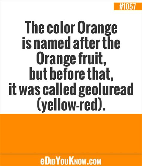 17 Best Images About Colours On Pinterest Cars Orange Trees And Colors