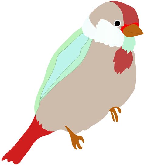 Robin Clipart Drawn Bird Transparent Color Drawing Png Download