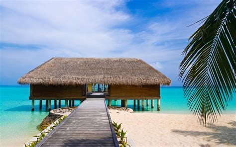 wallpaper hut bungalow resort thailand rest bridge sand beach palm trees blue water