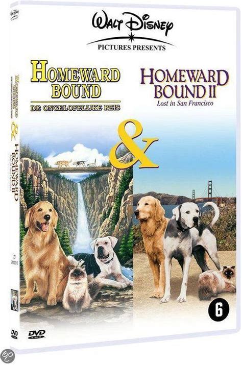 Homeward Bound Dvd Ed Bernard Dvd S Bol