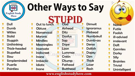 Other Ways To Say Stupid In English English Study Here