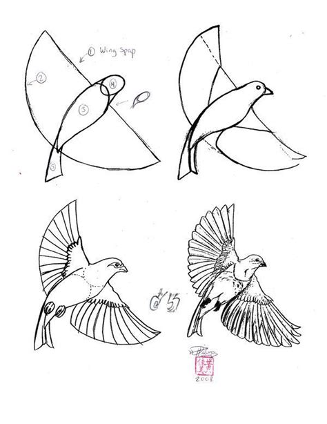 How To Draw A Bird Step By Step Easy With Pictures Birdies Bird