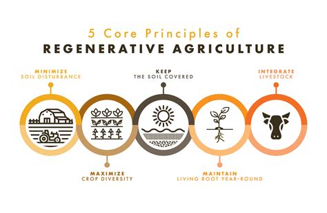 Regenerative Agriculture At Fischer Farms Fischer Farms