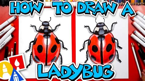 How To Draw A Realistic Ladybug Youtube