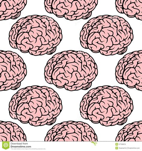 Pink Human Brain Seamless Pattern Stock Vector Illustration Of Lobes