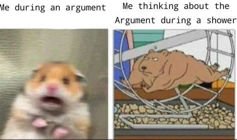 Meirl Scared Hamster Know Your Meme