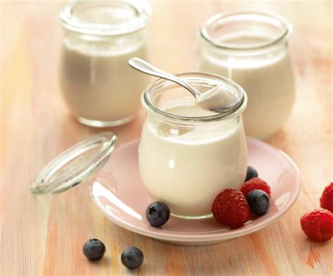 Yaourt nature - Cookidoo® - la plateforme de recettes ...