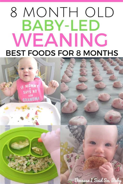 8 Month Old Baby Led Weaning Meal Ideas And Feeding Schedule Baby Food