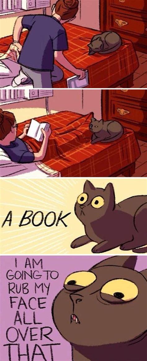 23 Funny Comics That Reveal The Reality Of Owning A Cat