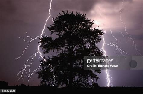 Lightning Hitting Tree Photos And Premium High Res Pictures Getty Images