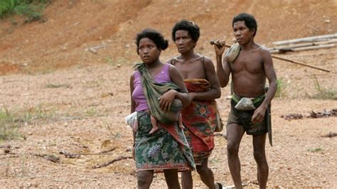 Mysterious Deadly Illness Plaguing One Of Malaysia S Last Indigenous Nomadic Tribes Cbc Radio