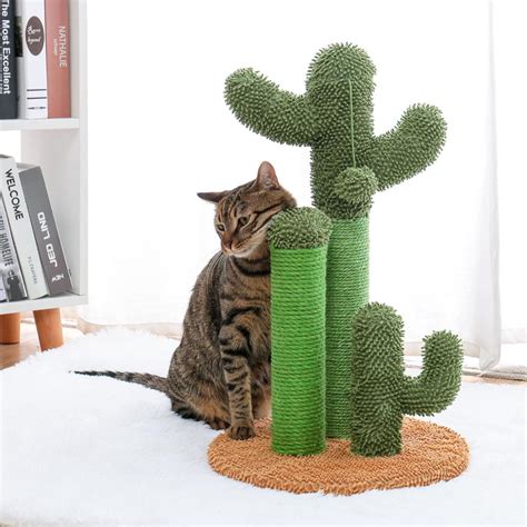 Aug 17, 2016 · selenicereus spinulosus, a climbing cactus from texas, growing on a tree. Cute-Cactus-Pet-Cat-Tree-Toys-with-Ball-Scratcher-Posts ...