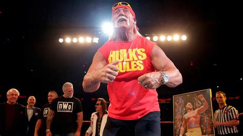 Controversial Moments Of Hulk Hogans Career