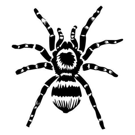 Tarantula Rubber Stamp Mounted Wood Block Art Stamp Etsy Spider