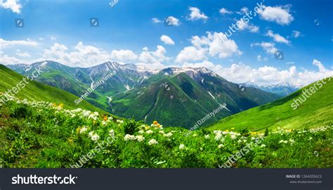 197398 Georgia Landscape Images Stock Photos And Vectors Shutterstock