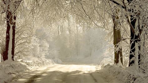1920x1080 Snowy Forest Road Desktop Pc And Mac Wallpaper