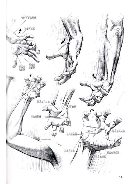 How to draw anime anatomy, step by step, drawing guide, by puzzlepieces. Human Anatomy - Artistic Drawings of the Human Bones and Muscles Reference Book - Anime Books