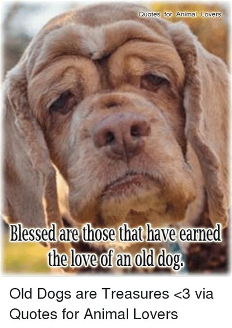 Funny Blessings Memes Of 2017 On Sizzle Blessed