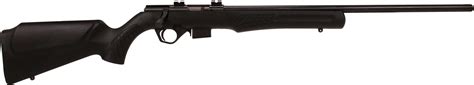 Rossi Rifle Rb17 17 Hmr 21 Barrel 5rd Synthetic Stock Matte Black
