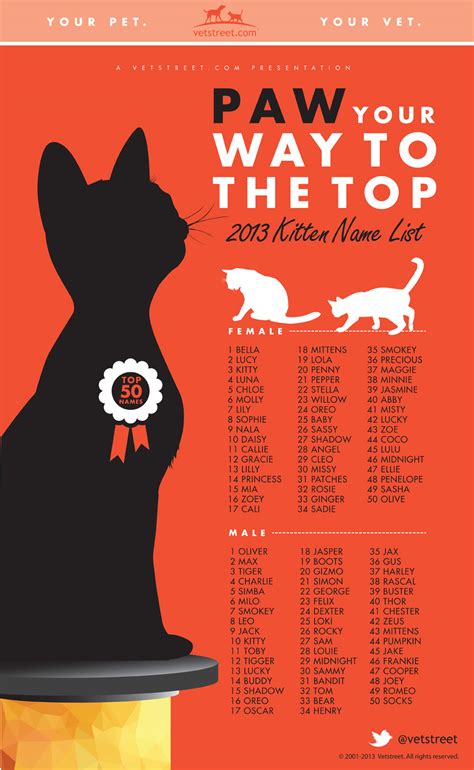 Most Popular Kitten Names 2013 Vetstreet Vetstreet