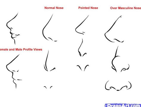 Image Detail For How To Draw Anime Noses Step Pictures 1