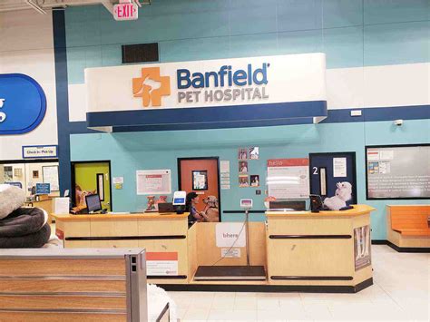 Veterinarians in Coon Rapids | Banfield Pet Hospital®