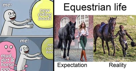 35 Hilarious Horse Memes For All The Equestrian Enthusiasts That Wear