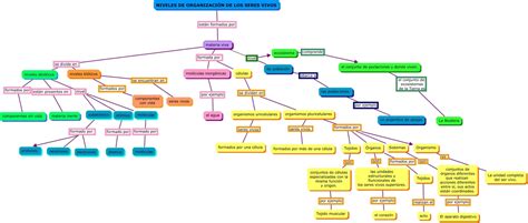 Mapa Mental De Los Niveles De Organizacion De La Materia Viva Porn Sex Picture