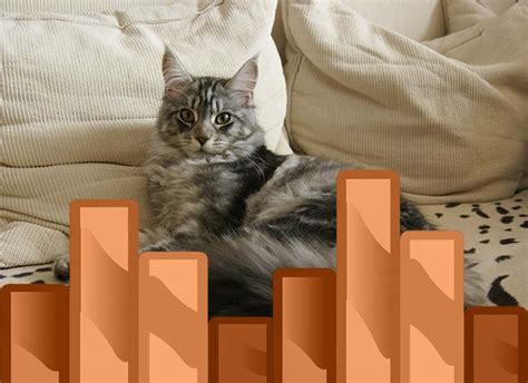 I have a large kitten who weighs 5.65 pounds at around 15 weeks old. How to Keep a Maine Coon Growth Chart » Maine Coon Guide