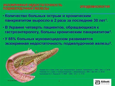 Экзокринная недостаточность диета Креон. Минимикросферы - презентация онлайн Креон. Минимикросферы - презентация онлайн Экзокринная недостаточность диета