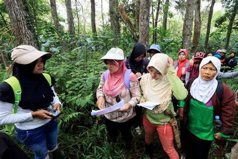Terlibat Kelola Hutan Perempuan Bisa Bangun Ketangguhan Perubahan